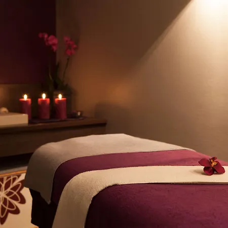 Hotel Novotel Fontainebleau 4*