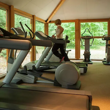 Novotel Fontainebleau 4*