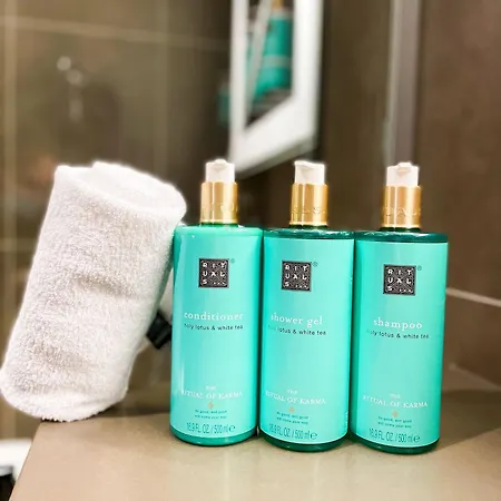 Novotel Fontainebleau 4*