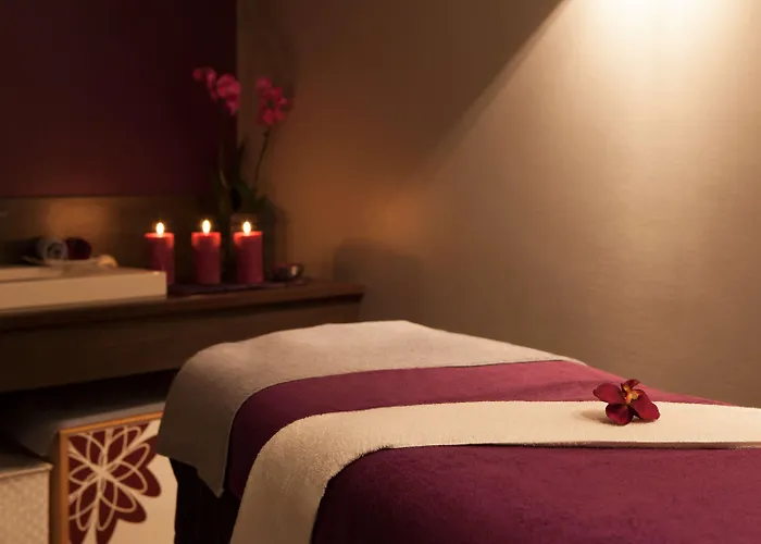 Hotel Novotel Fontainebleau 4*