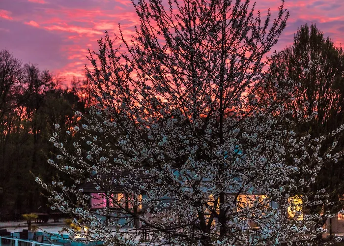 Novotel Fontainebleau