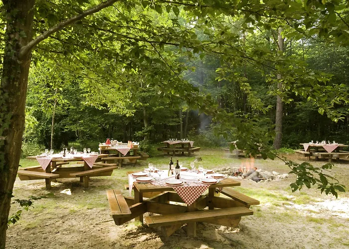 Novotel Fontainebleau Ury